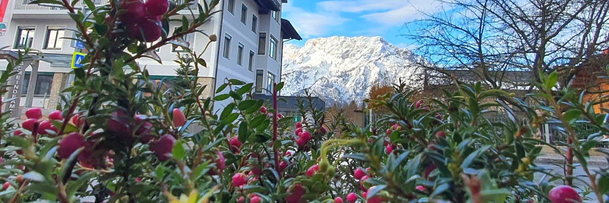 Blumenwerk Helga mit Untersbergblick neben der Gemeinde Puch